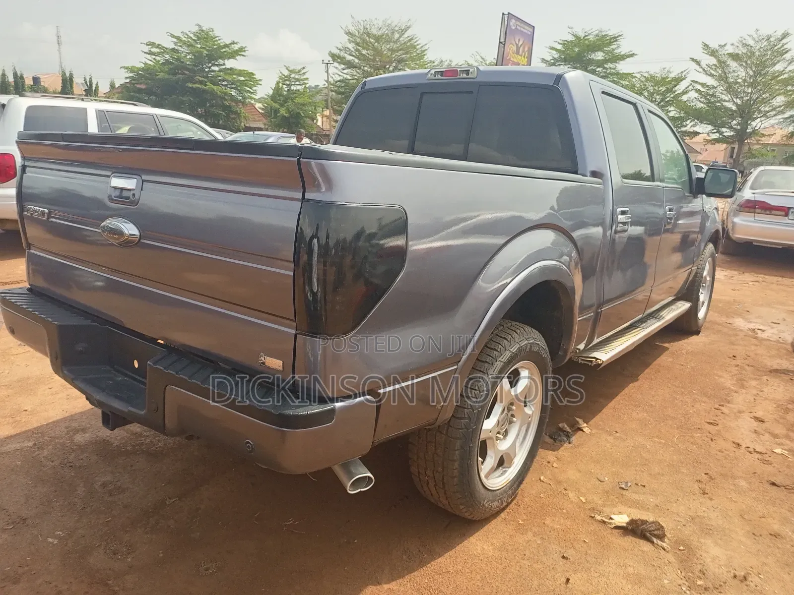 Ford F-150 2010 Gray