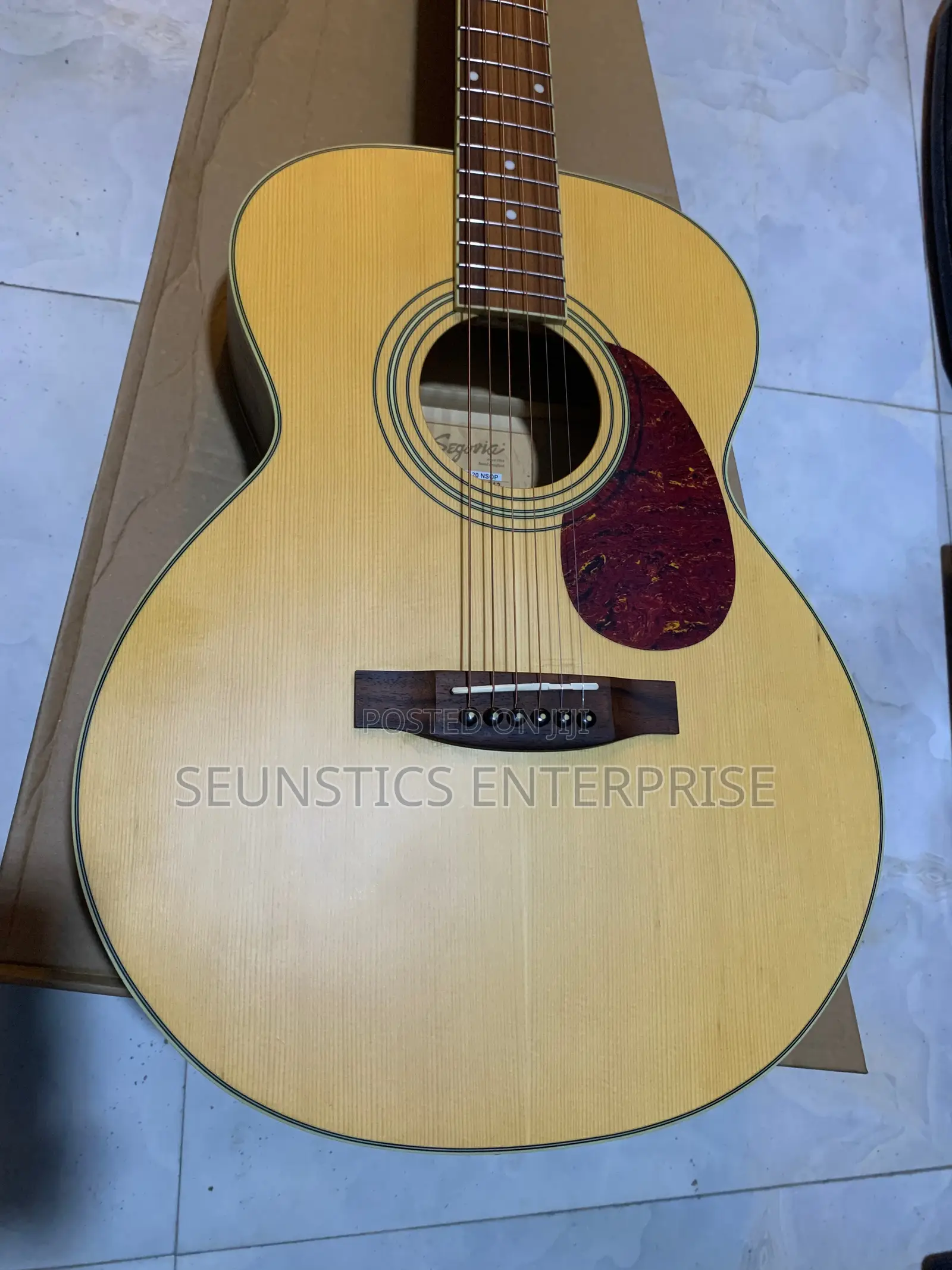 Quality Segovia F20 Pure Acoustic Guitar