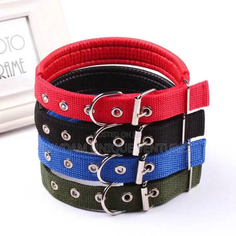 Padded Collar With Buckle (Sizes Xs–L) Dog Padded Collar