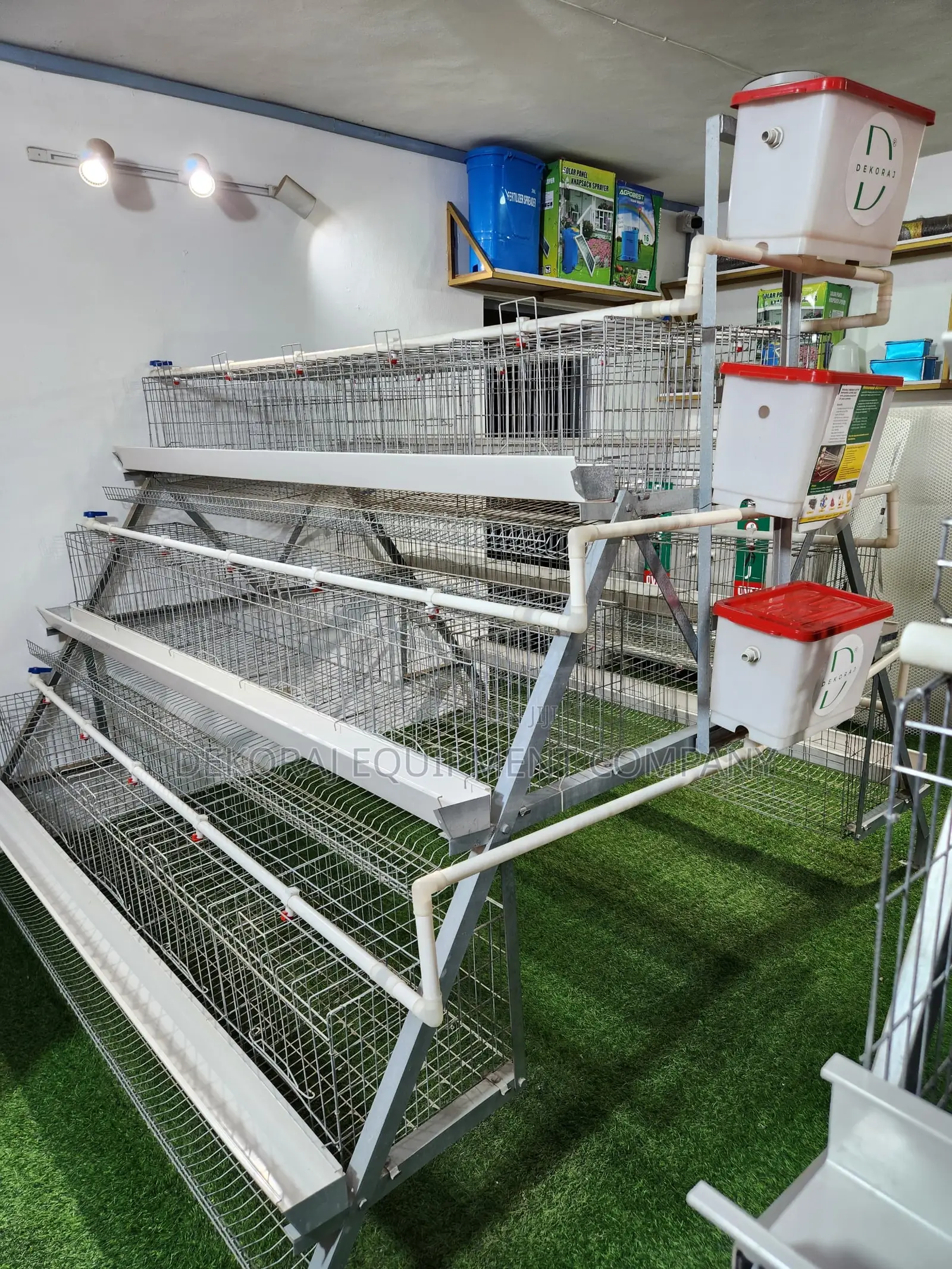Premium Imported 120 Birds Capacity Cage,Day Old Chicks