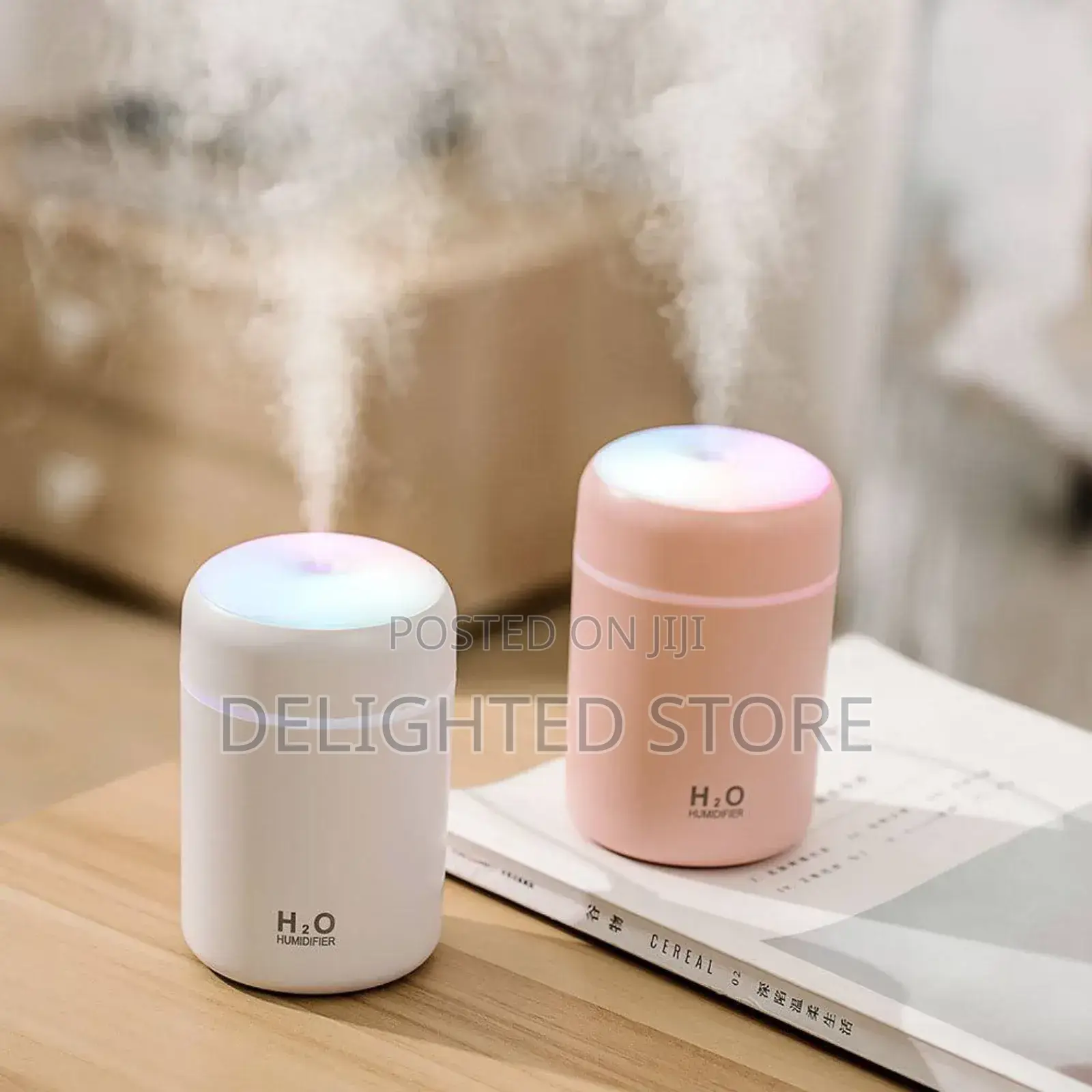 Car/Home/Office Humidifier