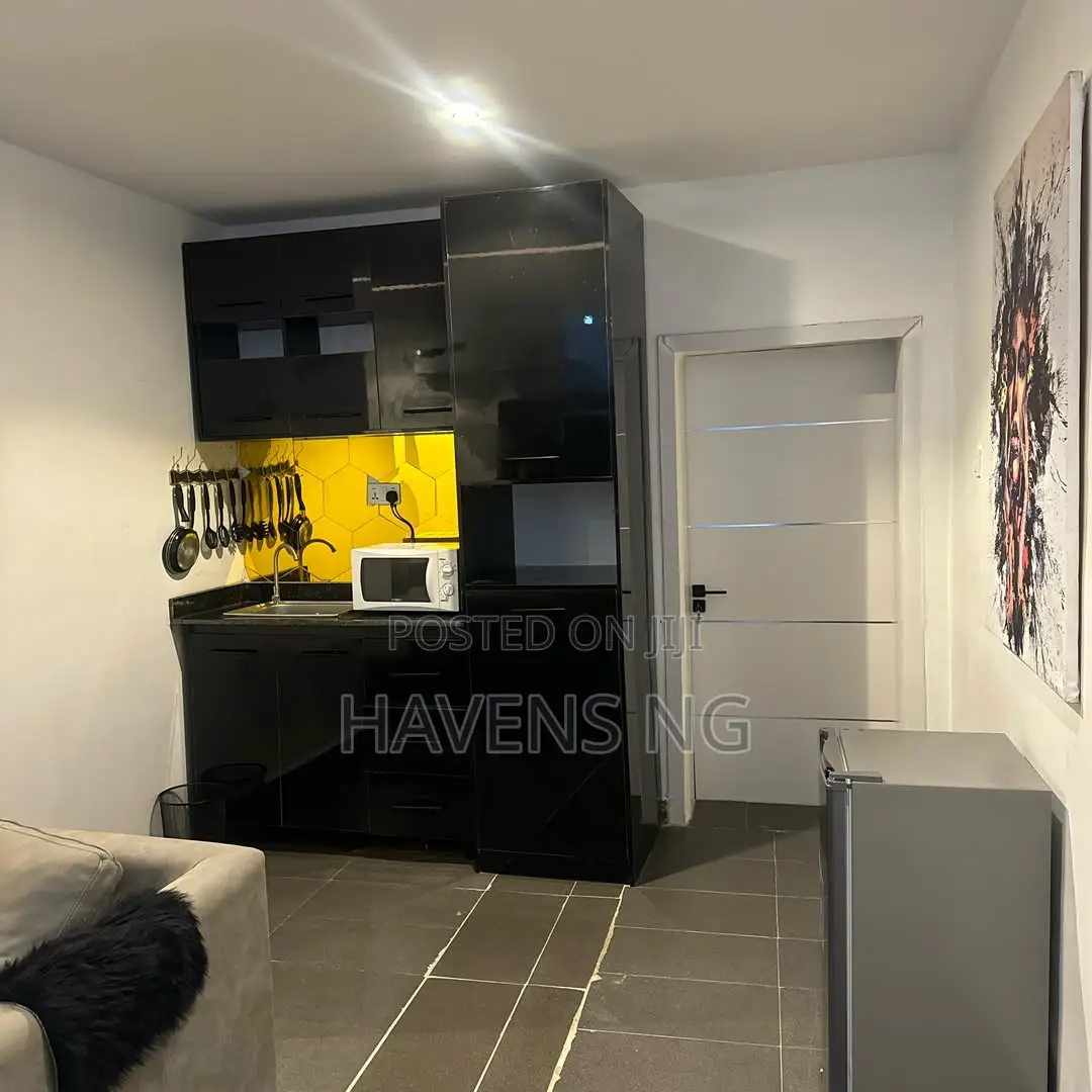 Fully Serviced 2-Bedroom Luxury Apartment