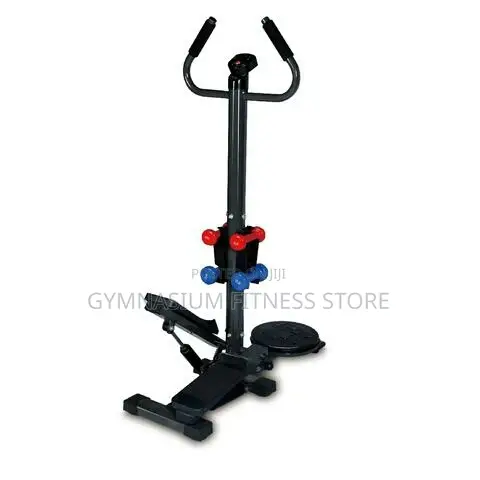 Standing Stepper With Twister 563