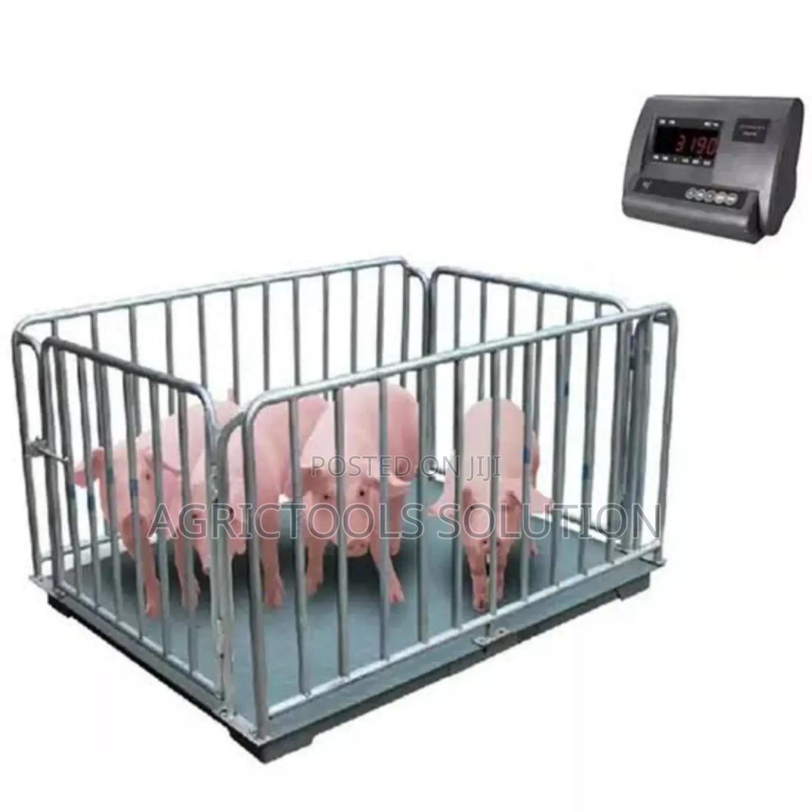 Digital Walk in Scale for Livestock
