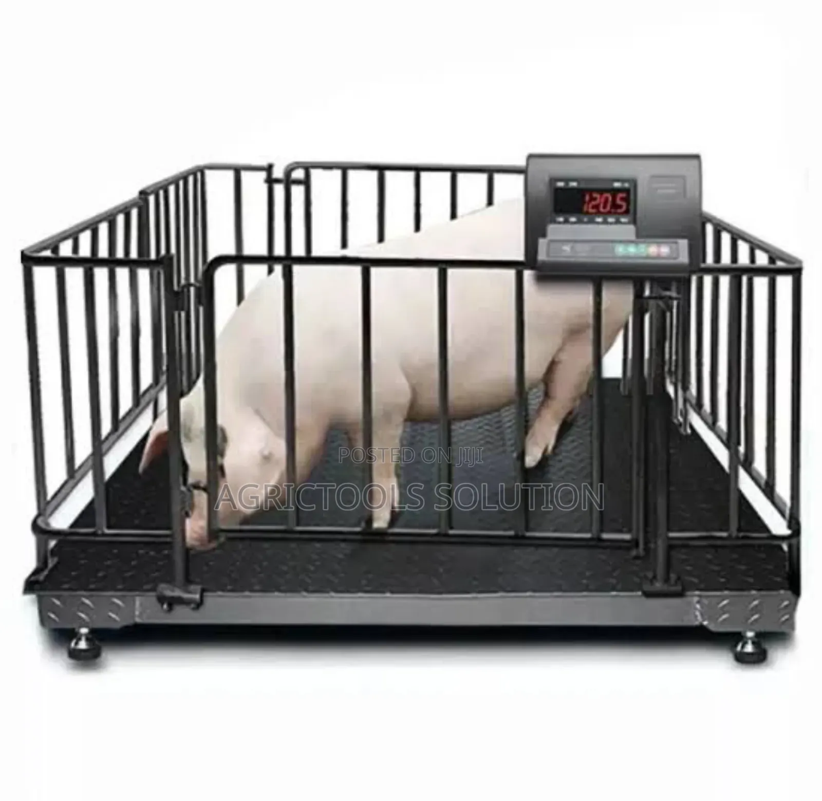 Digital Walk in Scale for Livestock