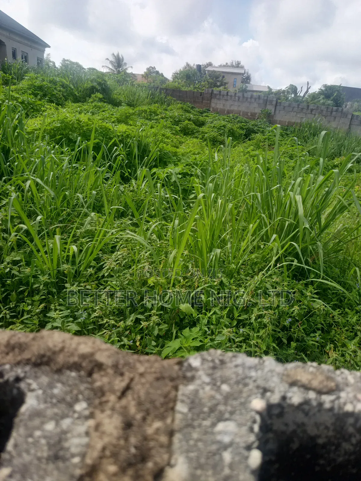 Standard Plot of Land