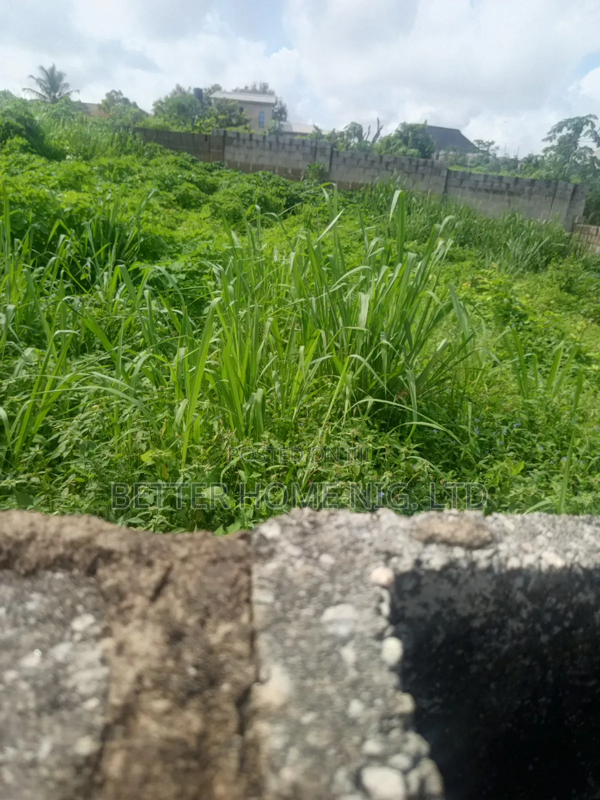 Standard Plot of Land