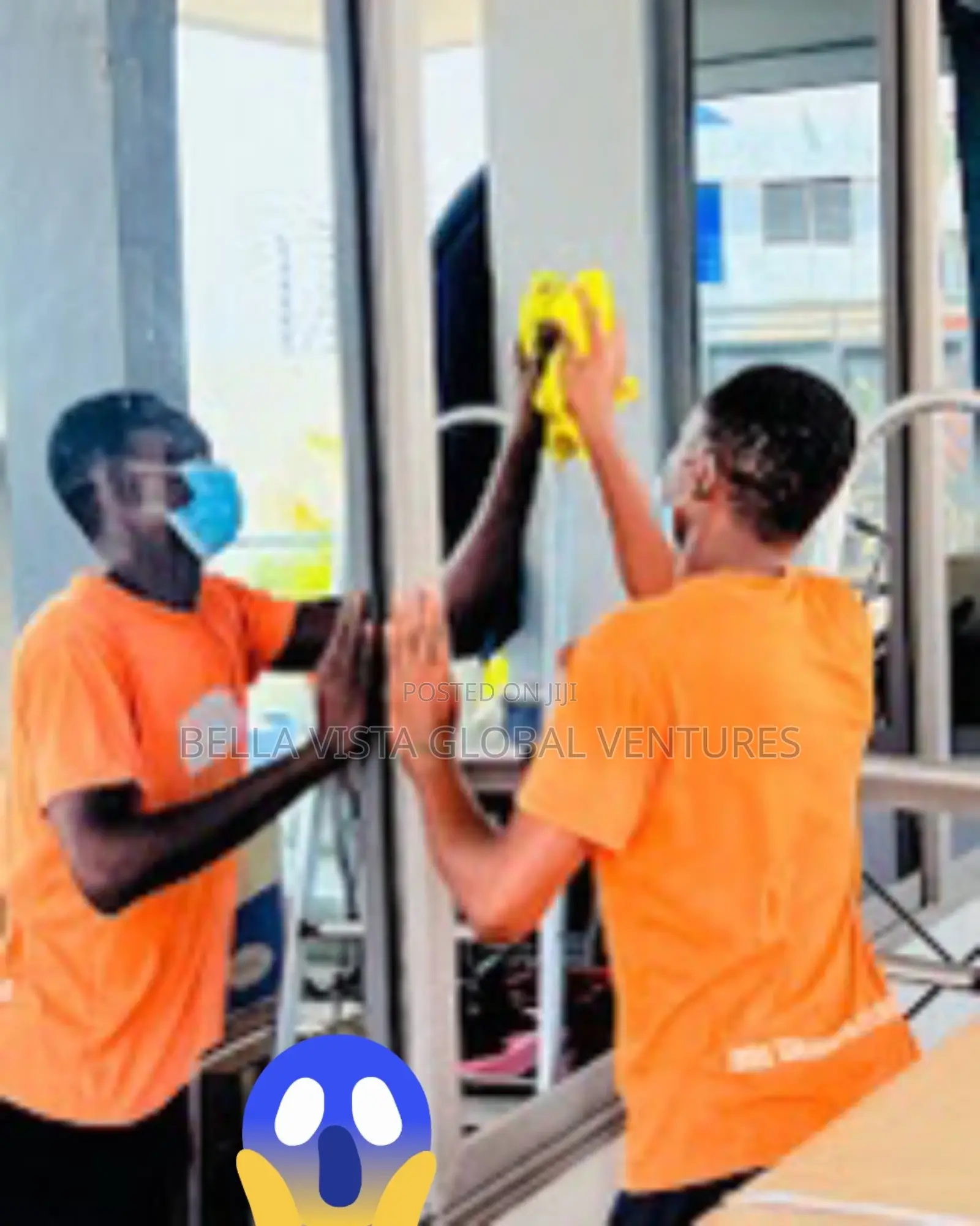 Professional Cleaning Services - Homes, Offices, Apartments