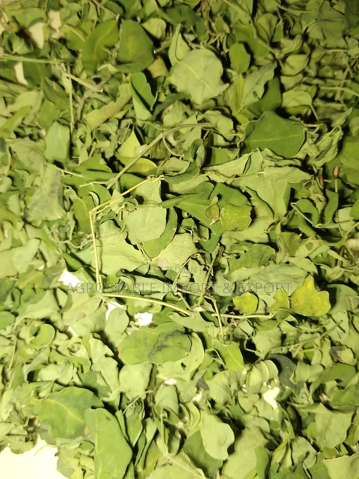 Moringa Leaves 1kg