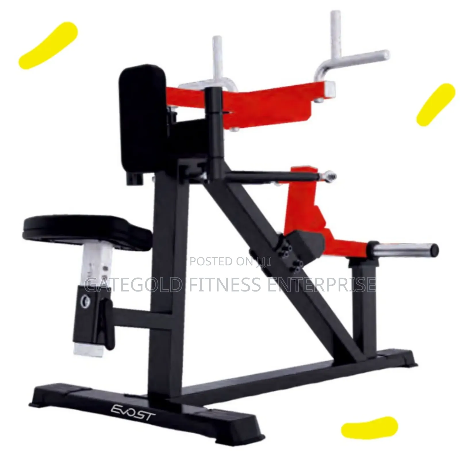 Seated Deltoid Fly A618