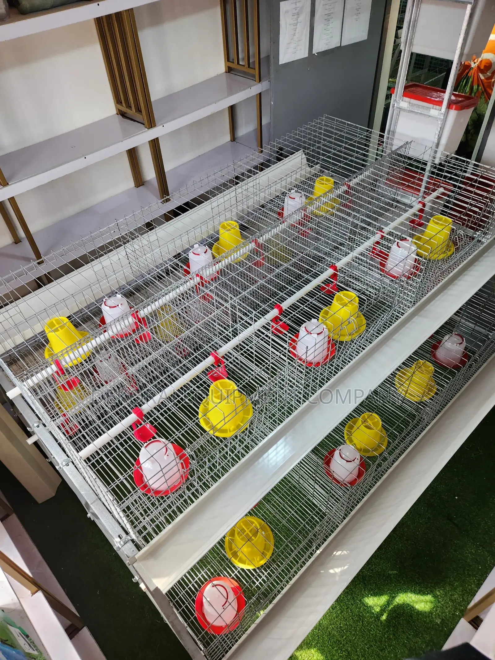 300 Birds Imported Cage – Reduces Mortality By 99%