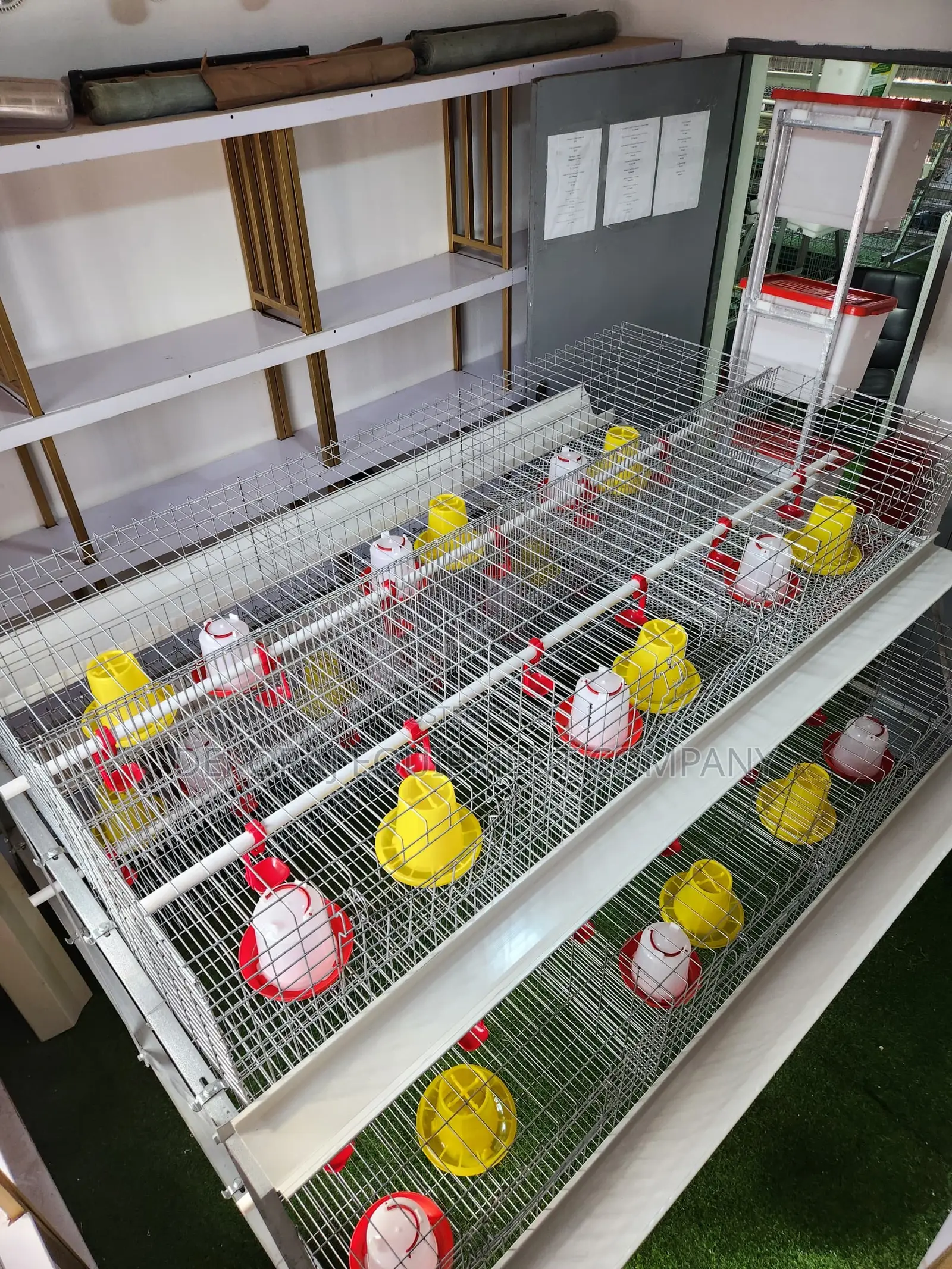 300 Birds Imported Brooding Cage – Faster Growth, No Delay