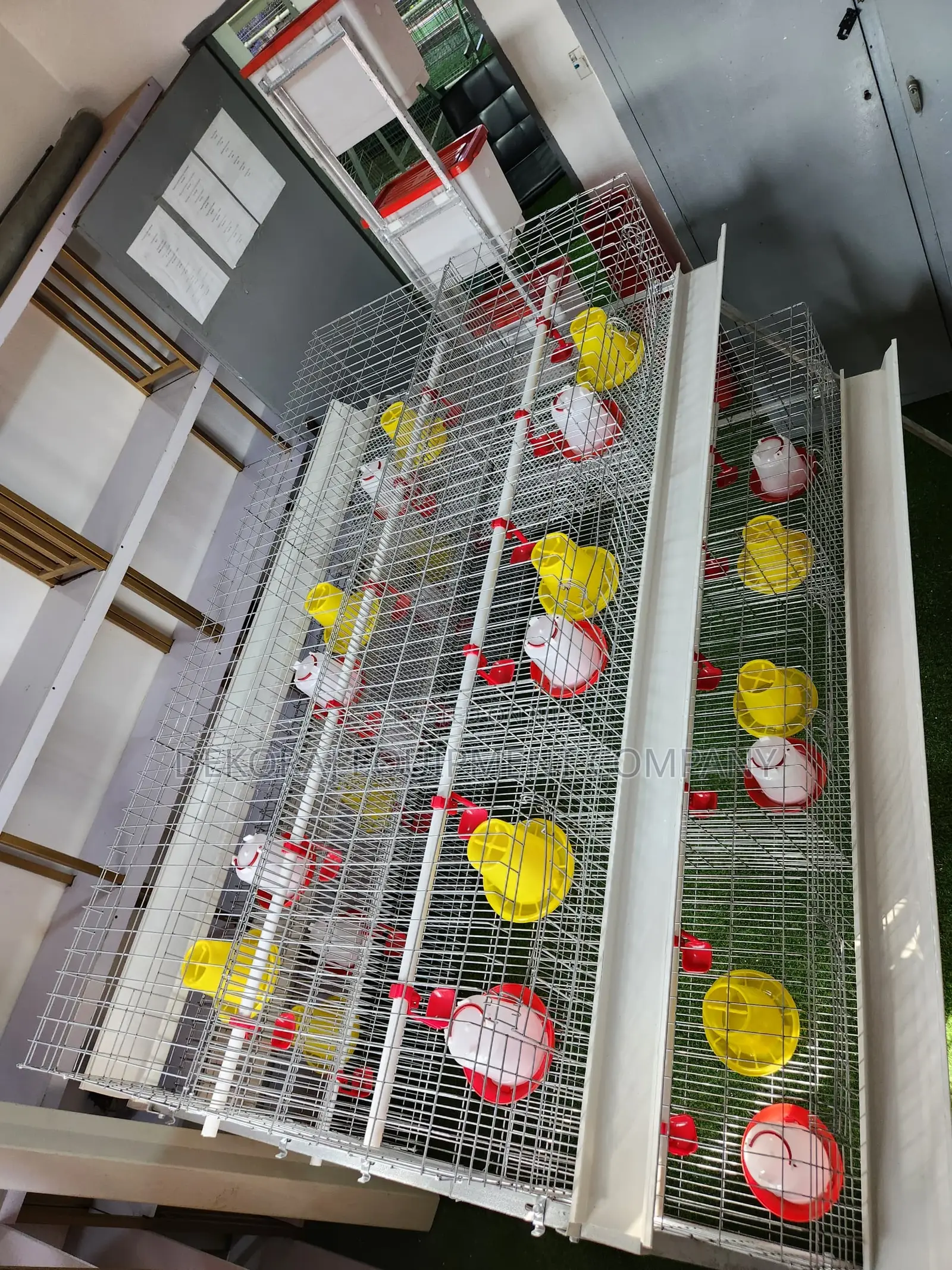 300 Birds Imported Brooding Cage – No Deep Litter Stress