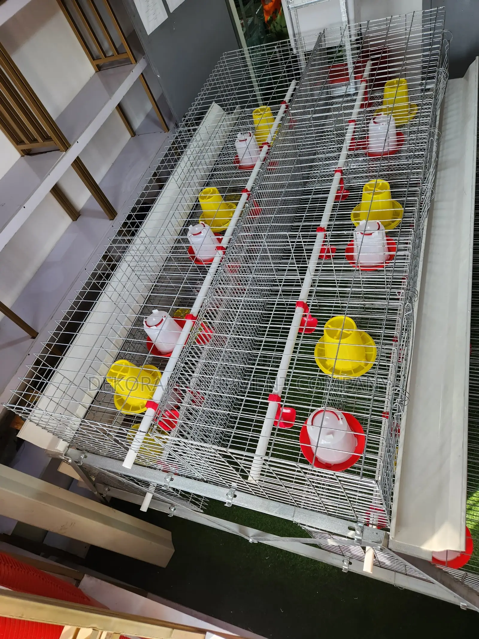 300 Birds Imported Brooding Cage – No Coccidiosis Issues