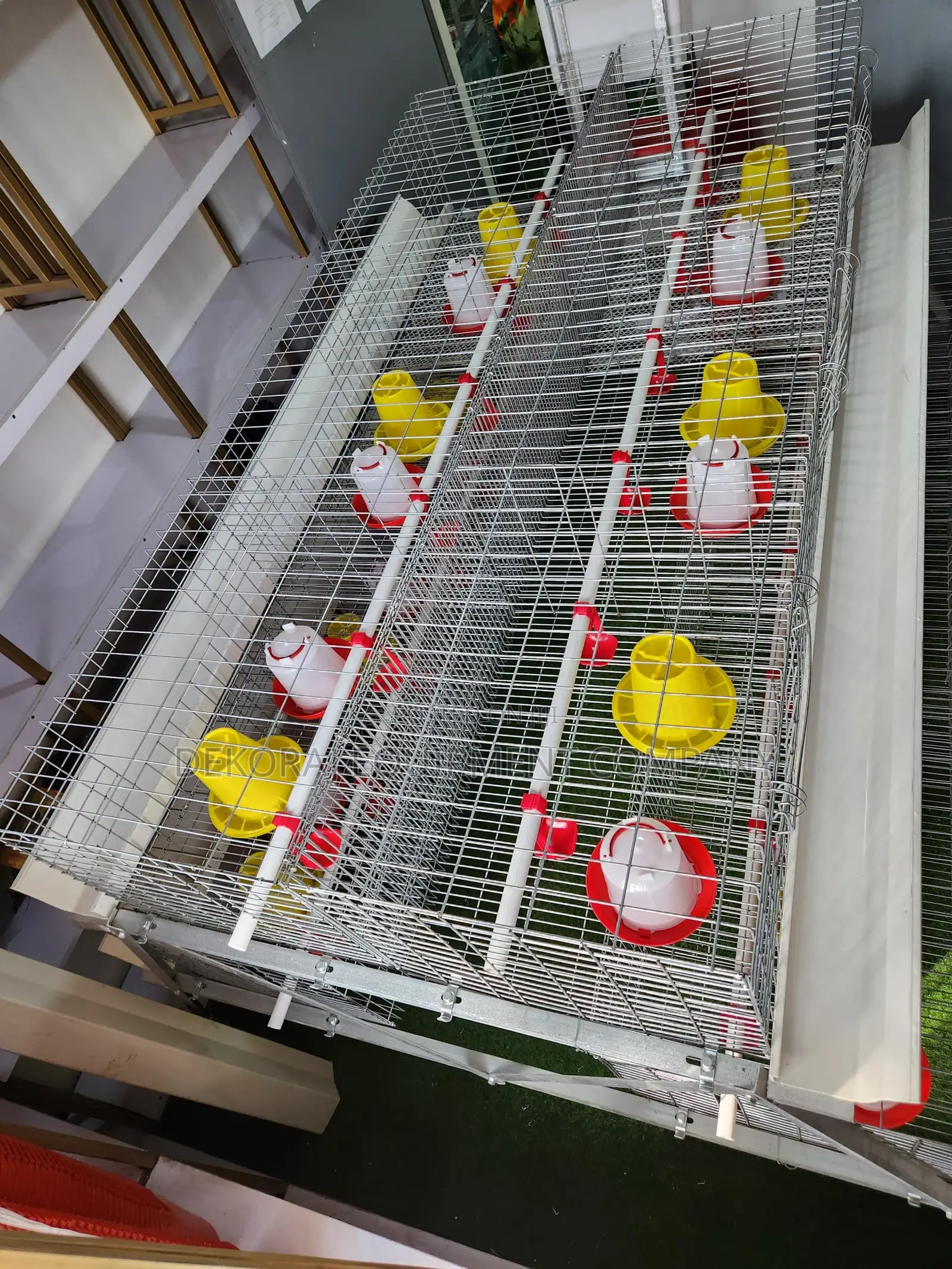300 Birds Brooding Imported Cage – Guaranteed Sales Success