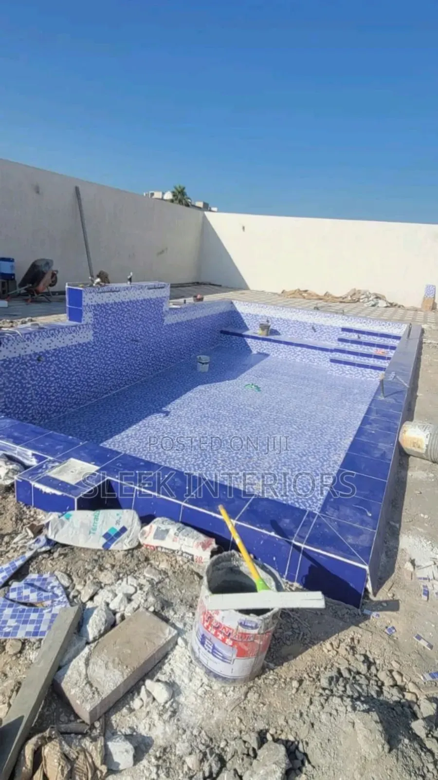 Swimming Pool Professional