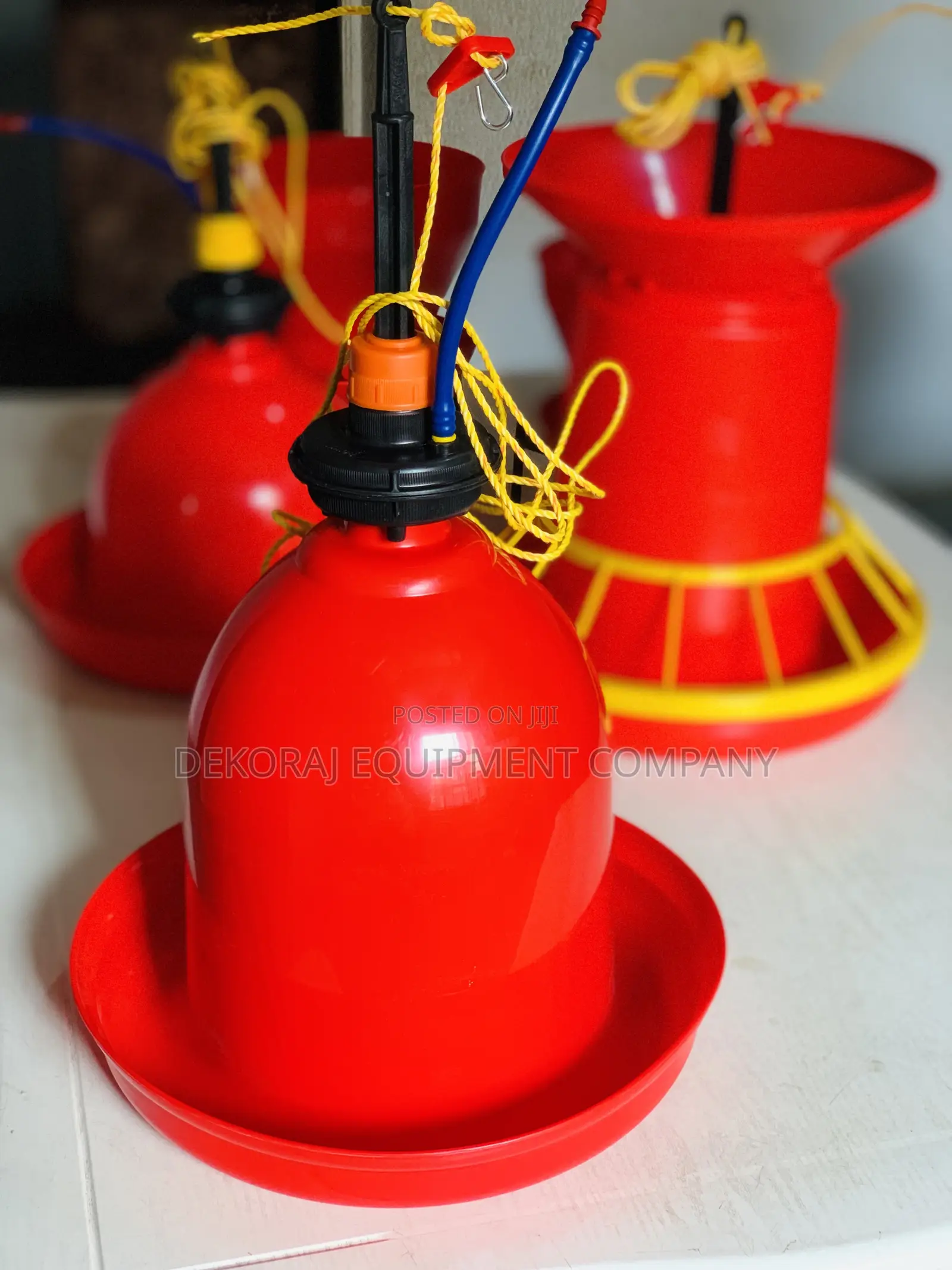 Jumbo Nova Indian Bell Drinker For Quality &High Roi Lovers
