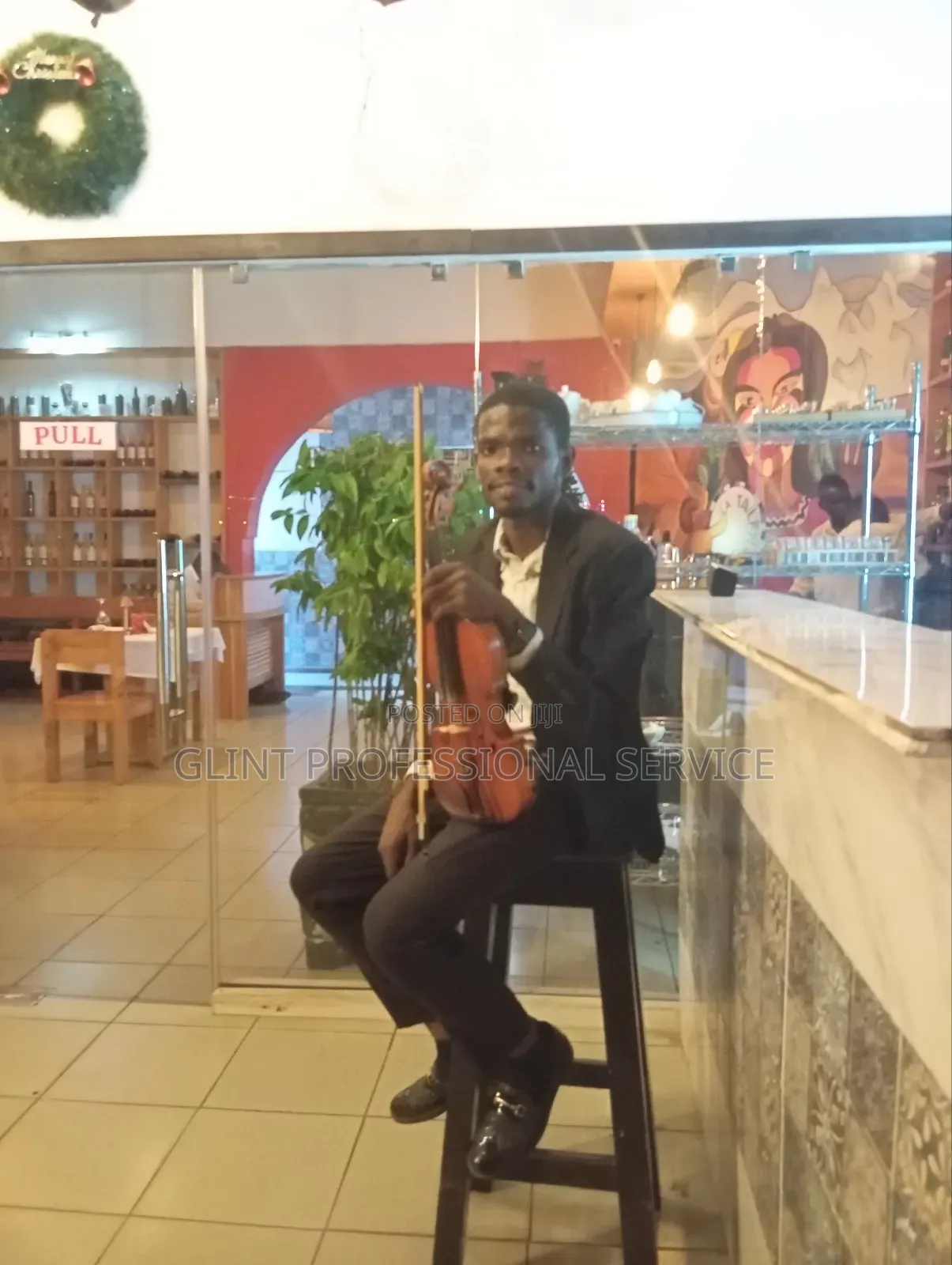 Violinist and Violin Performance