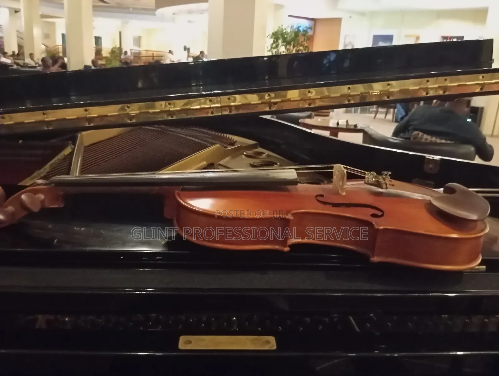 Violin Performer
