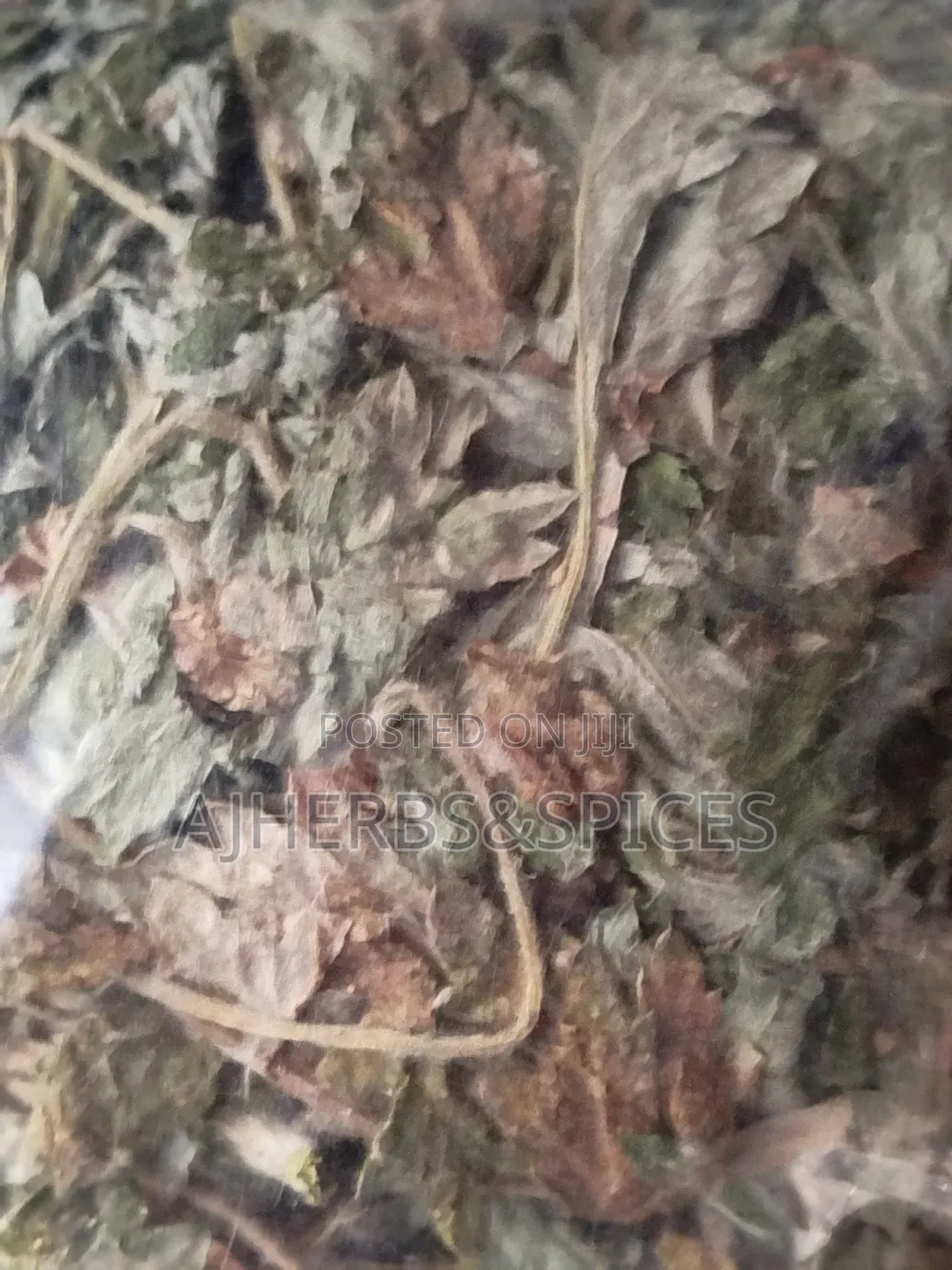 Freshly Dried Mugwort Leaf