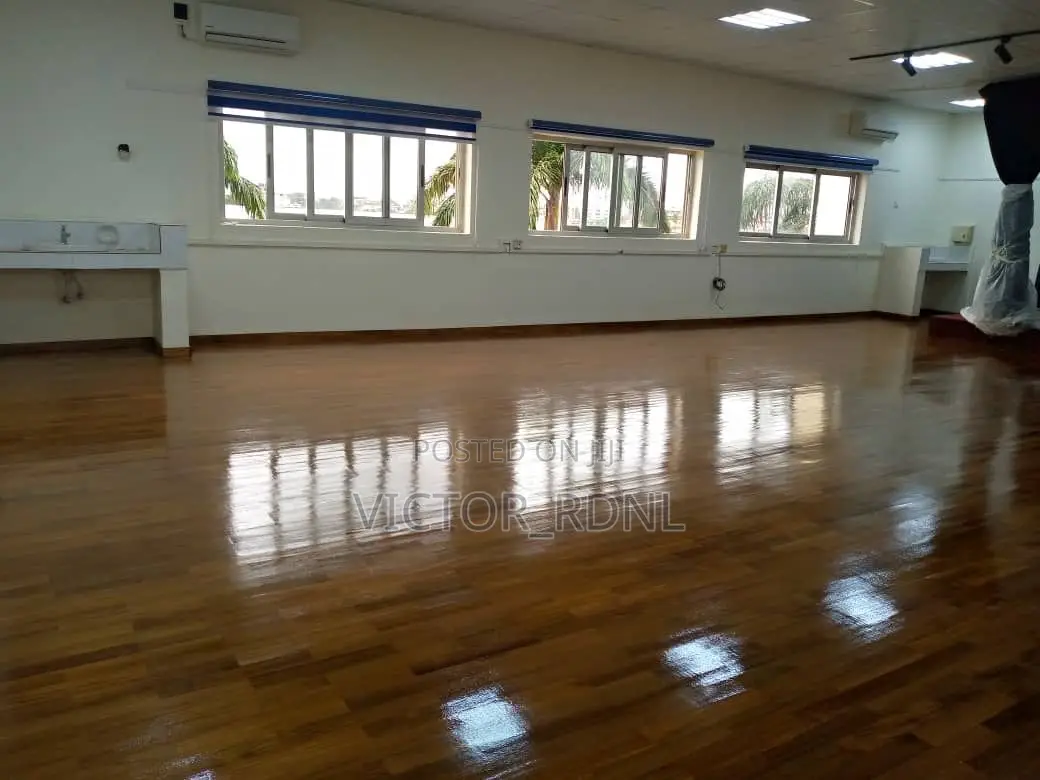 Bulk Thick Carpet