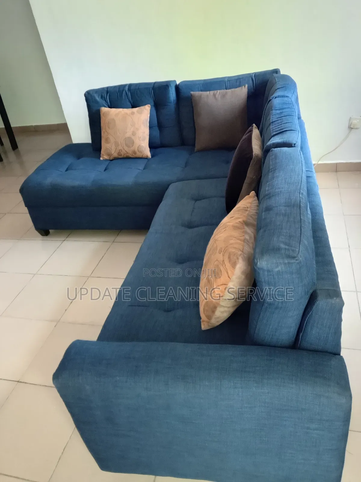 Professional Sofa Cleaning and Disinfecting Services