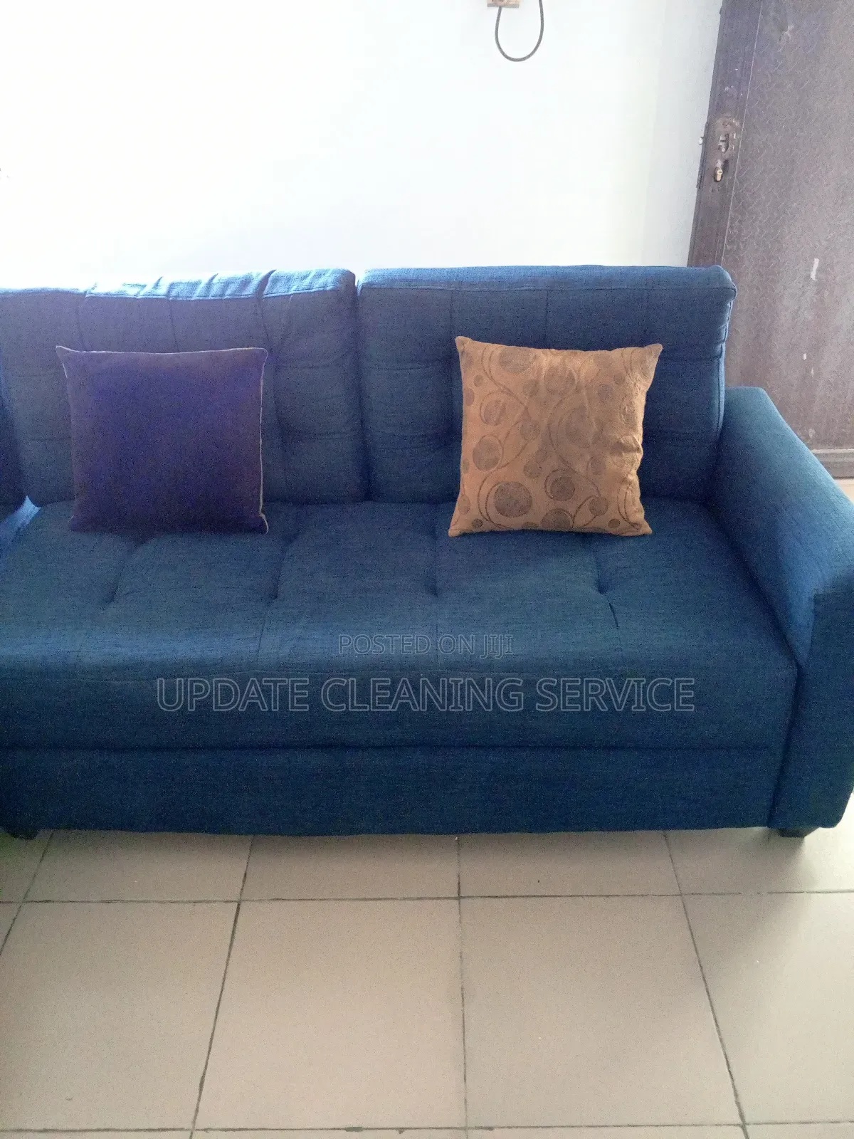 Professional Sofa Cleaning and Disinfecting Services
