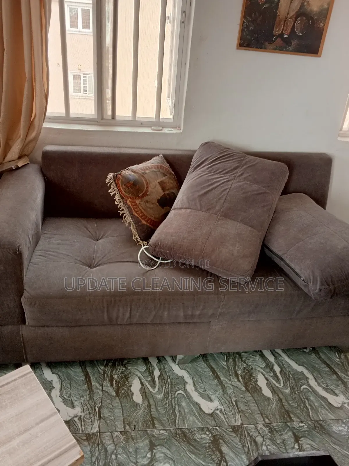 Professional Sofa Cleaning and Disinfecting Services