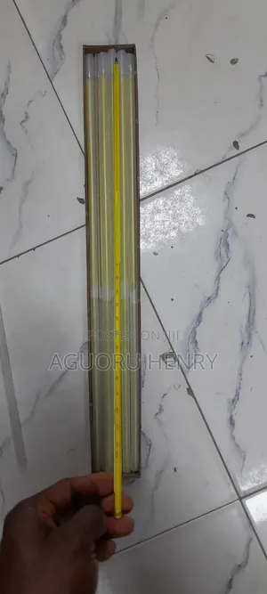 Mercury Thermometer