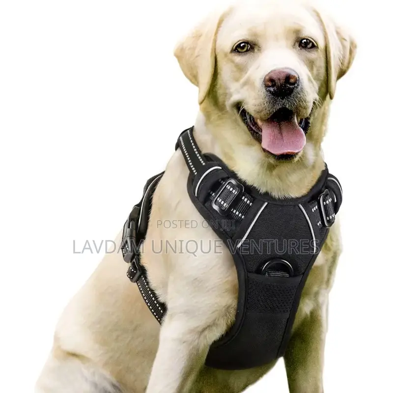 Adjustable Dog Harness With Leash – For Medium Large Dogs