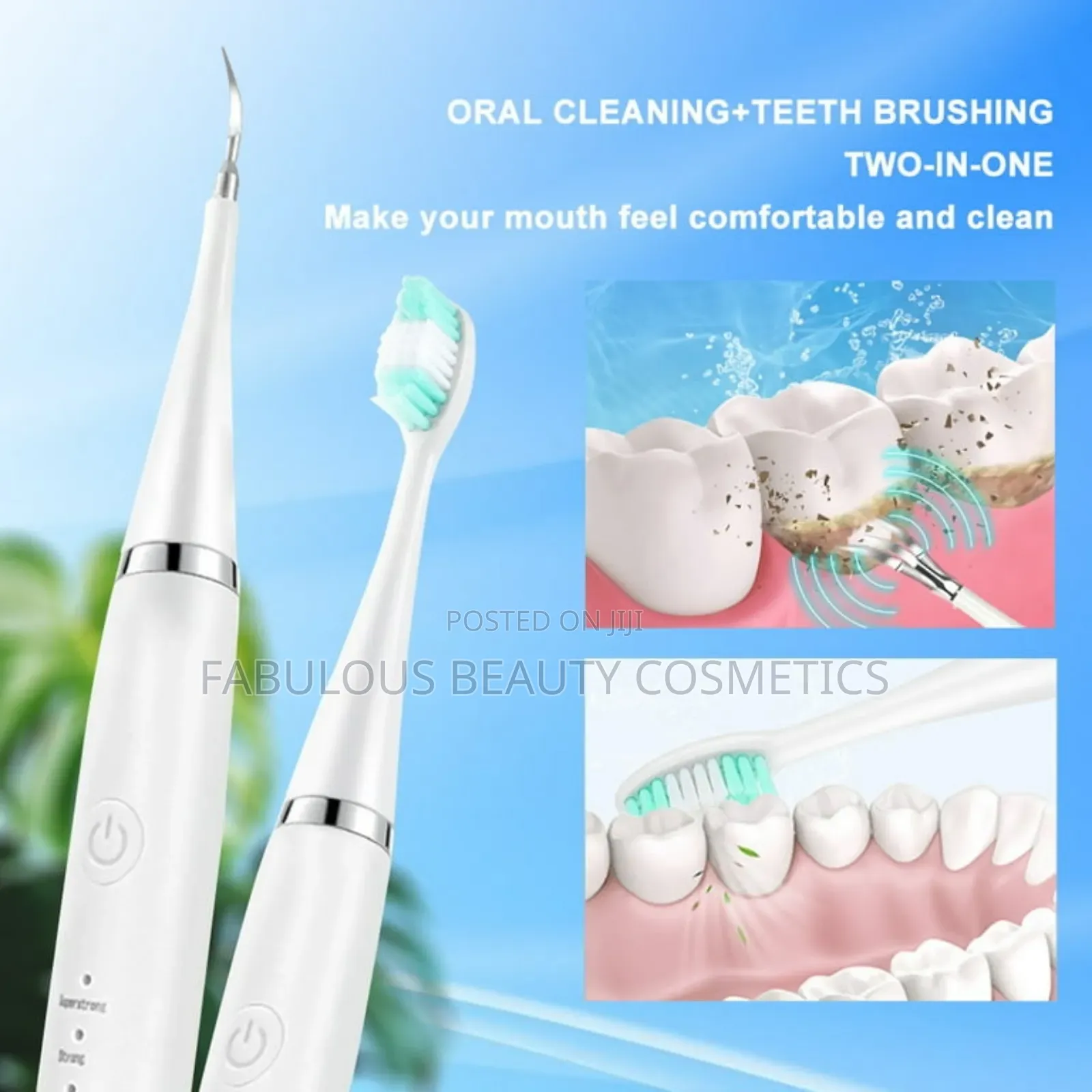Dental Calculus Scaler Electric Sonic Oral Teeth Tart