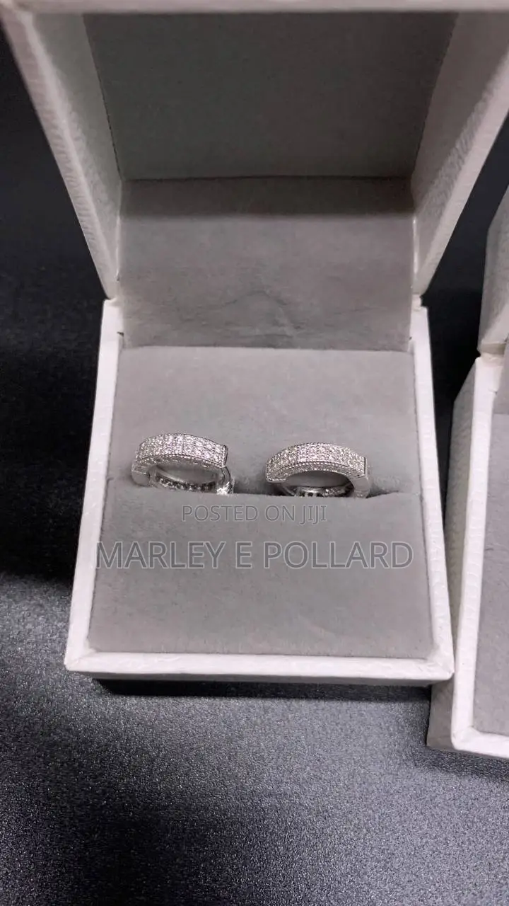 Round Cut Vvs1 Moissanite Earrings