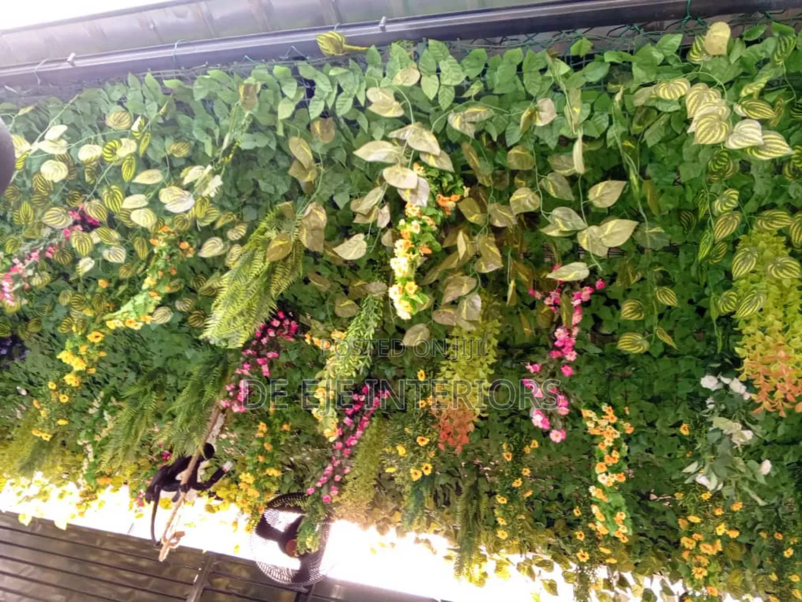 Beautiful Flowers