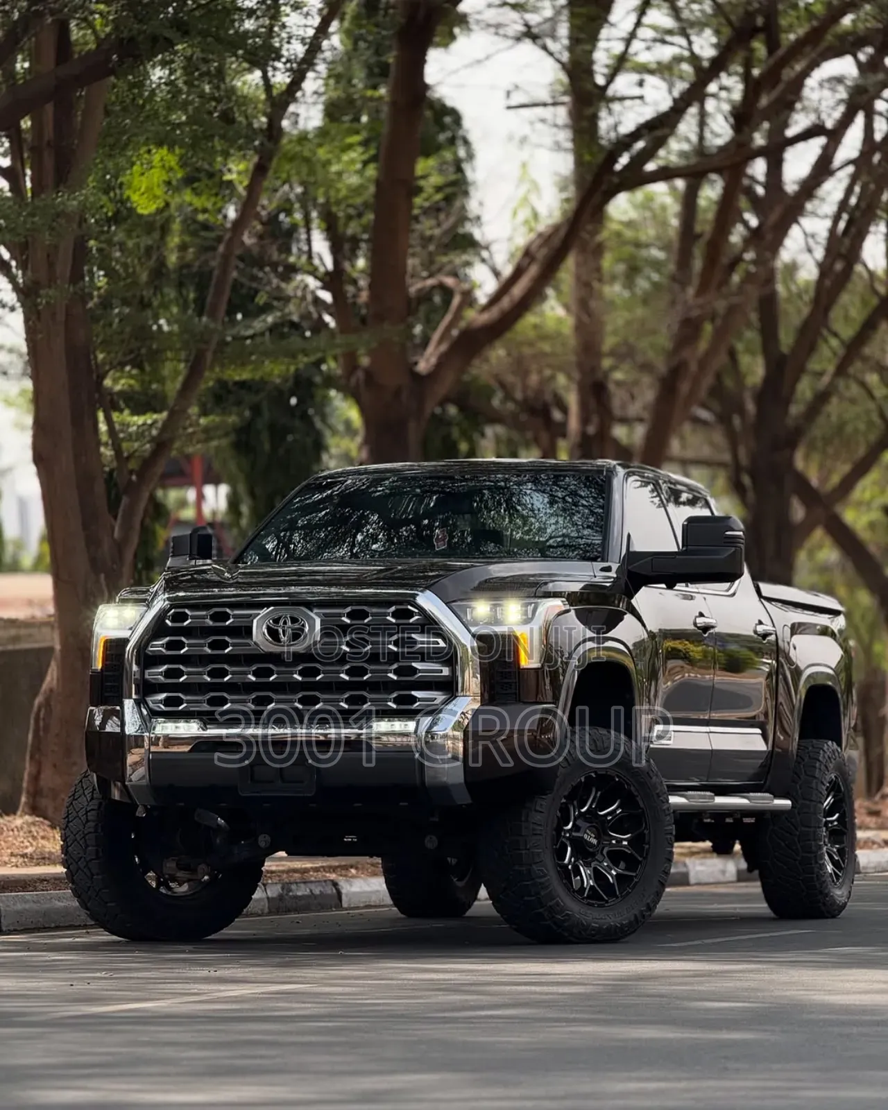 Toyota Tundra 1794 2022 Brown