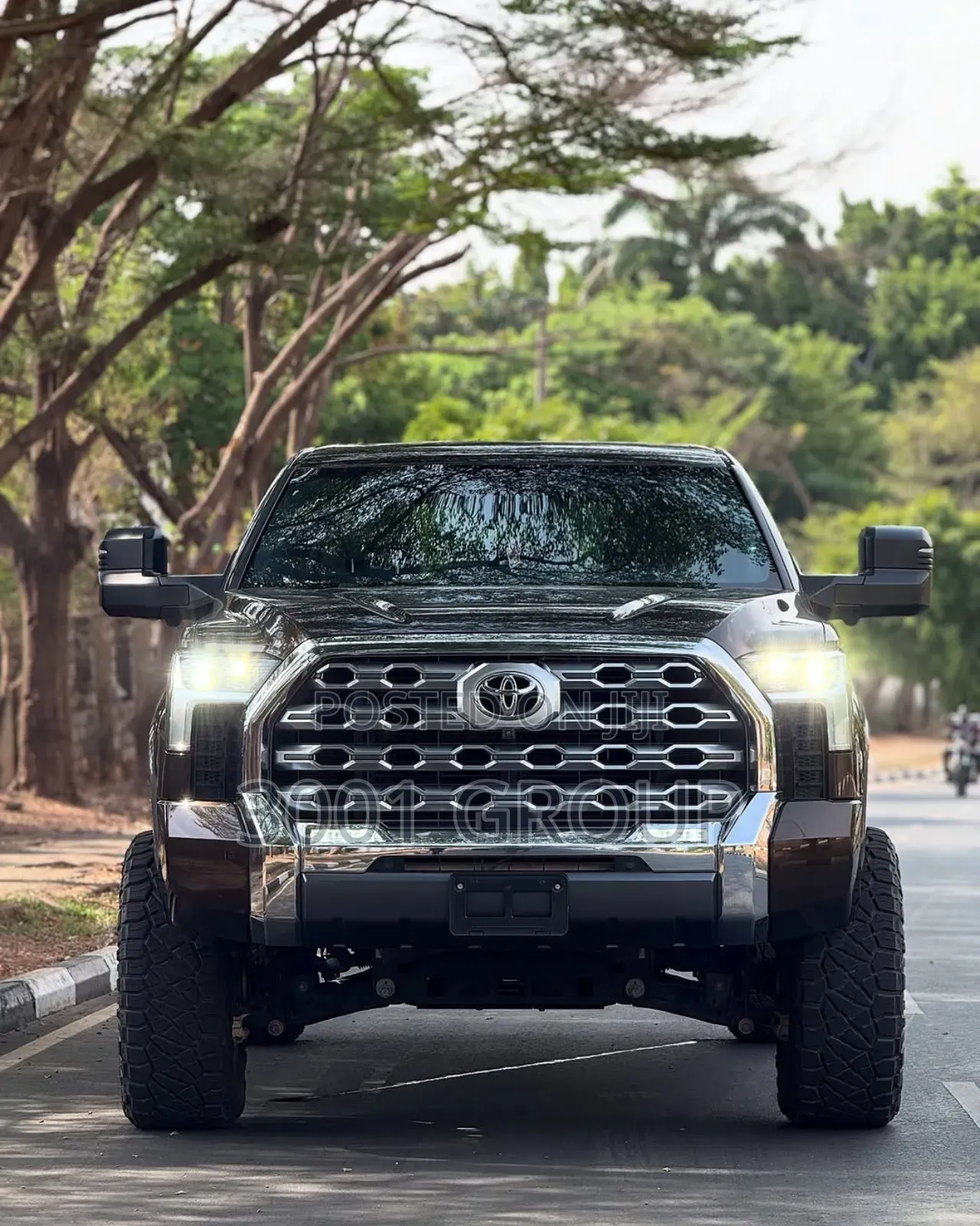 Toyota Tundra 1794 2022 Brown