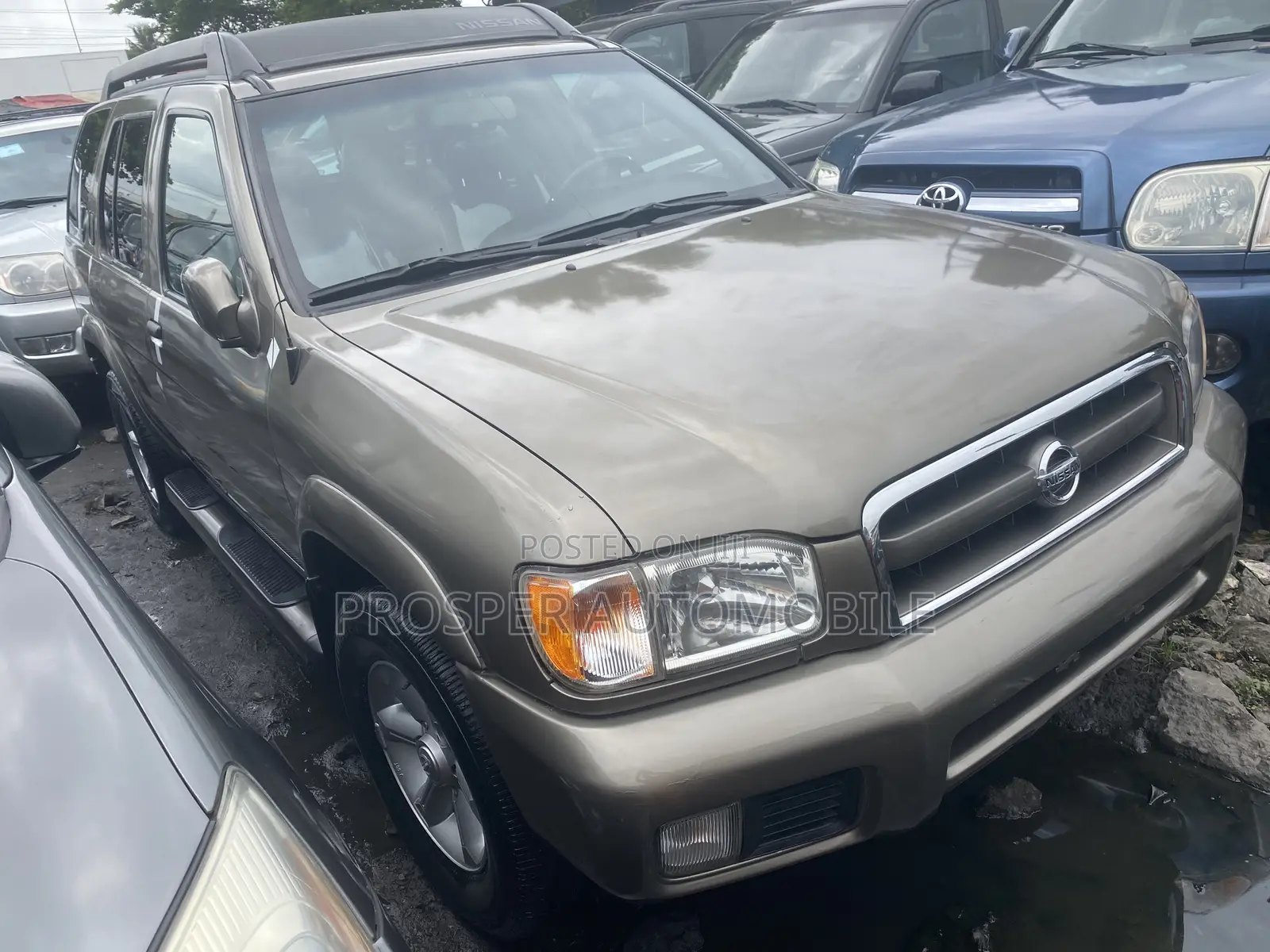 Nissan Pathfinder SE 2004 Brown