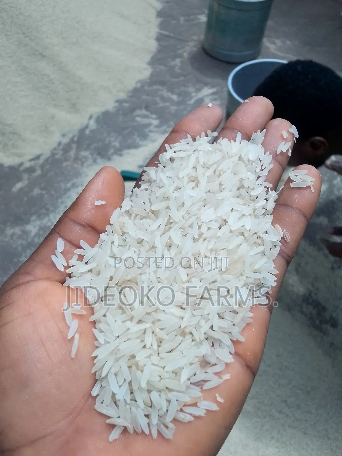 Abakaliki Rice 50kg (12painters).
