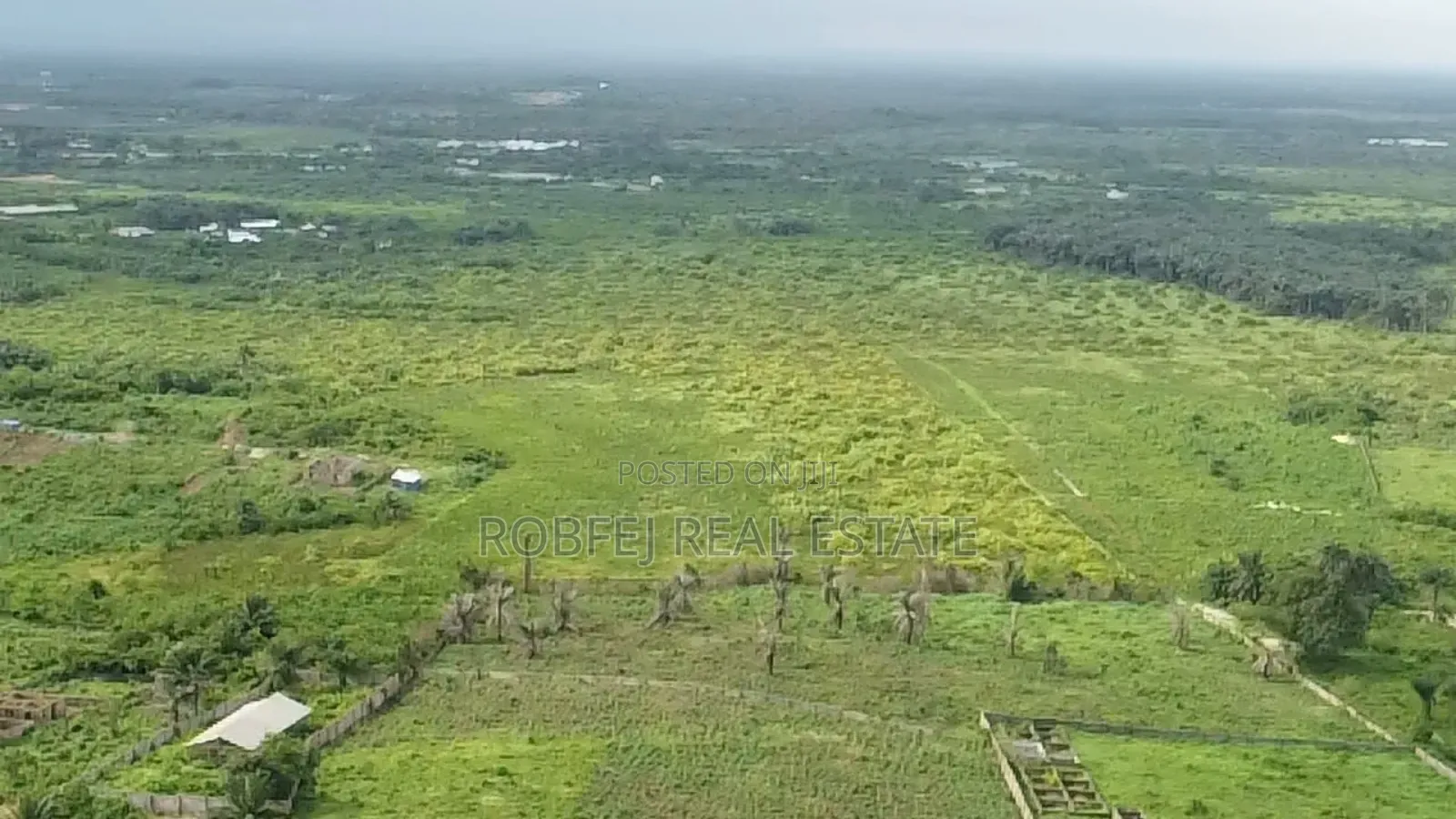 Crazy 50 Acres Distress Sales