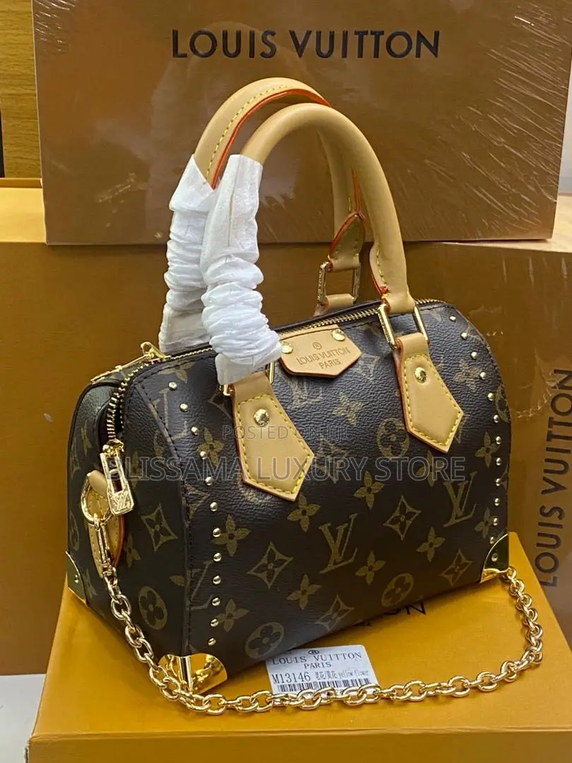 Louis Vuitton Female Hand Bags