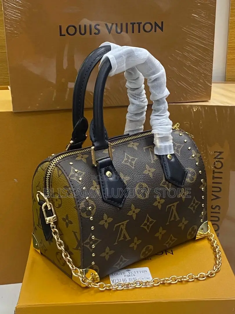 Louis Vuitton Female Hand Bags