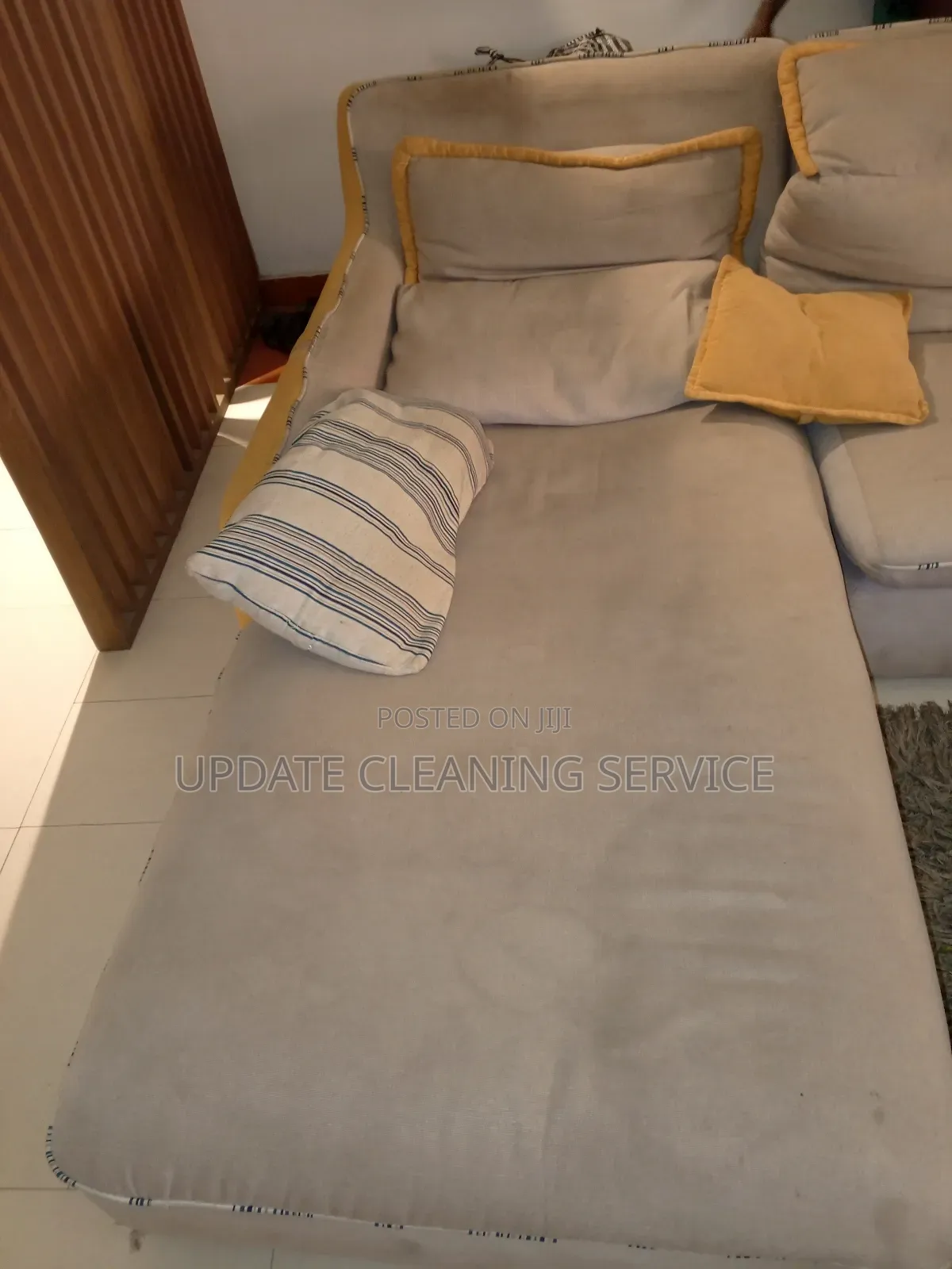 Professional Upholstery Cleaning