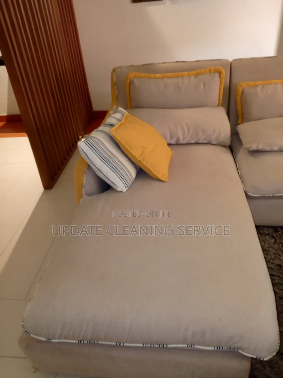 Professional Upholstery Cleaning