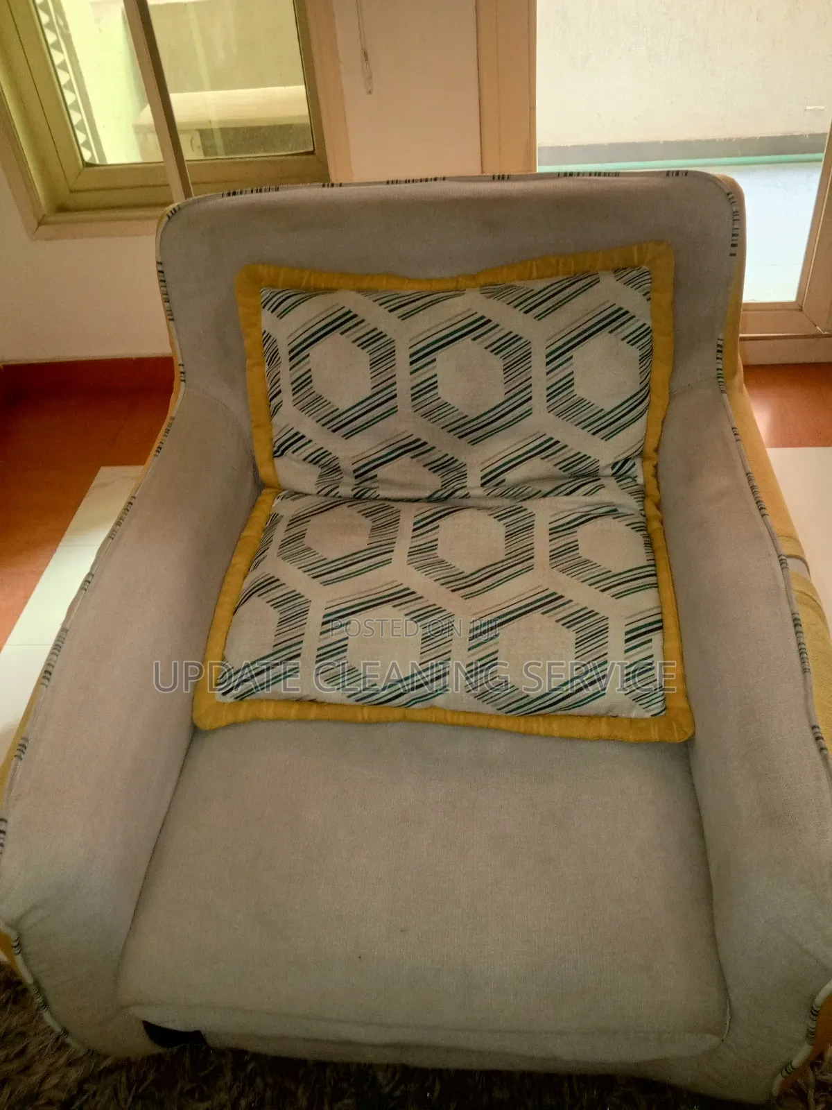 Professional Upholstery Cleaning