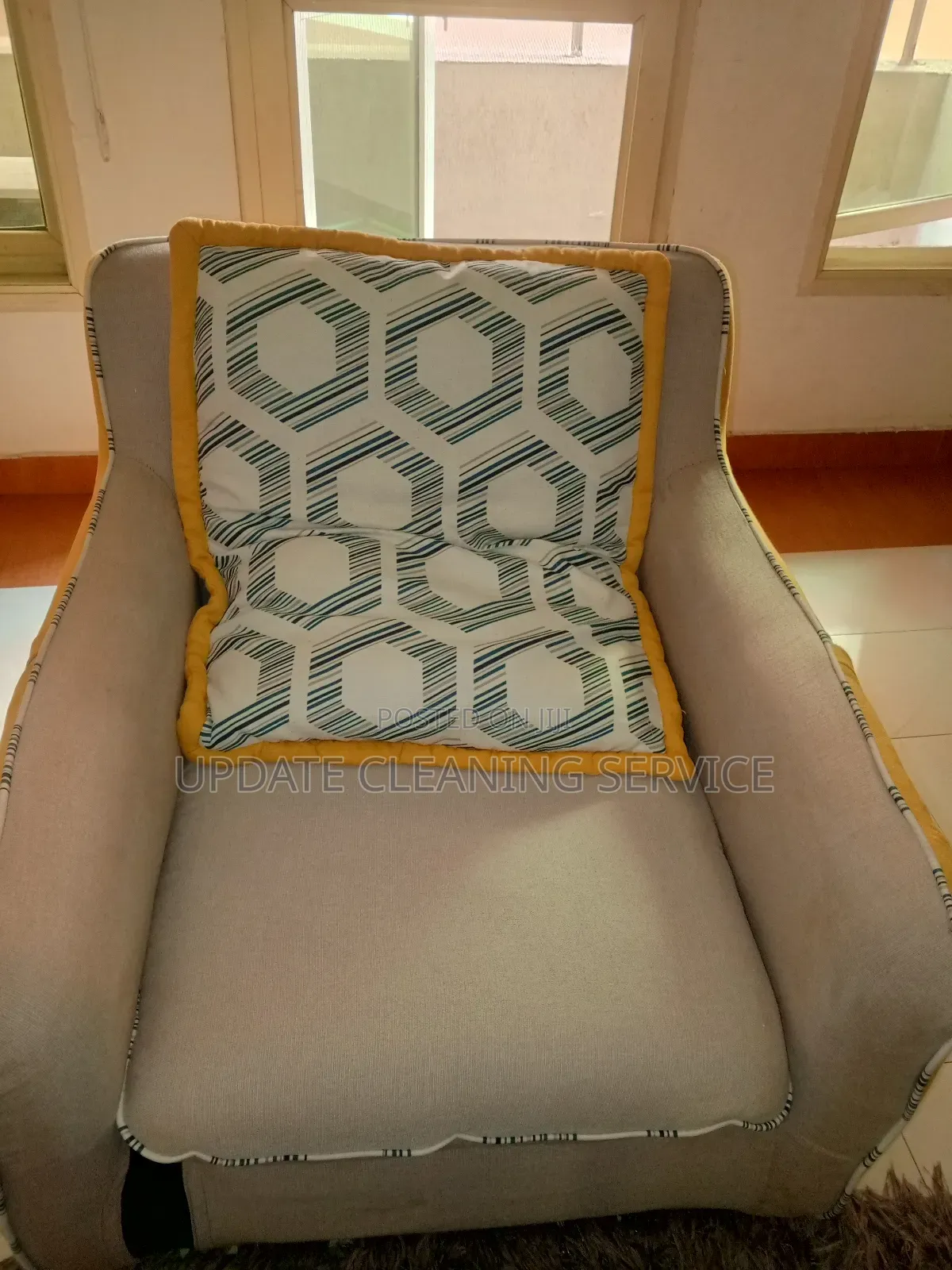 Professional Upholstery Cleaning