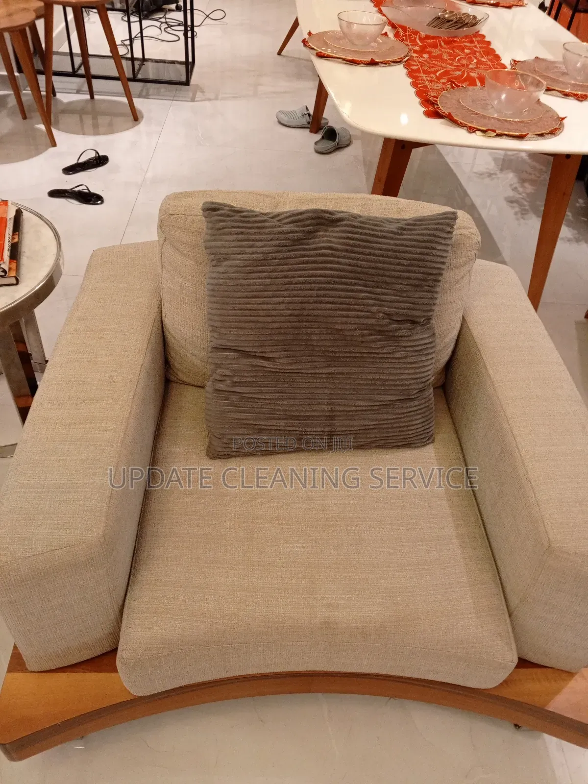 Professional Upholstery Cleaning