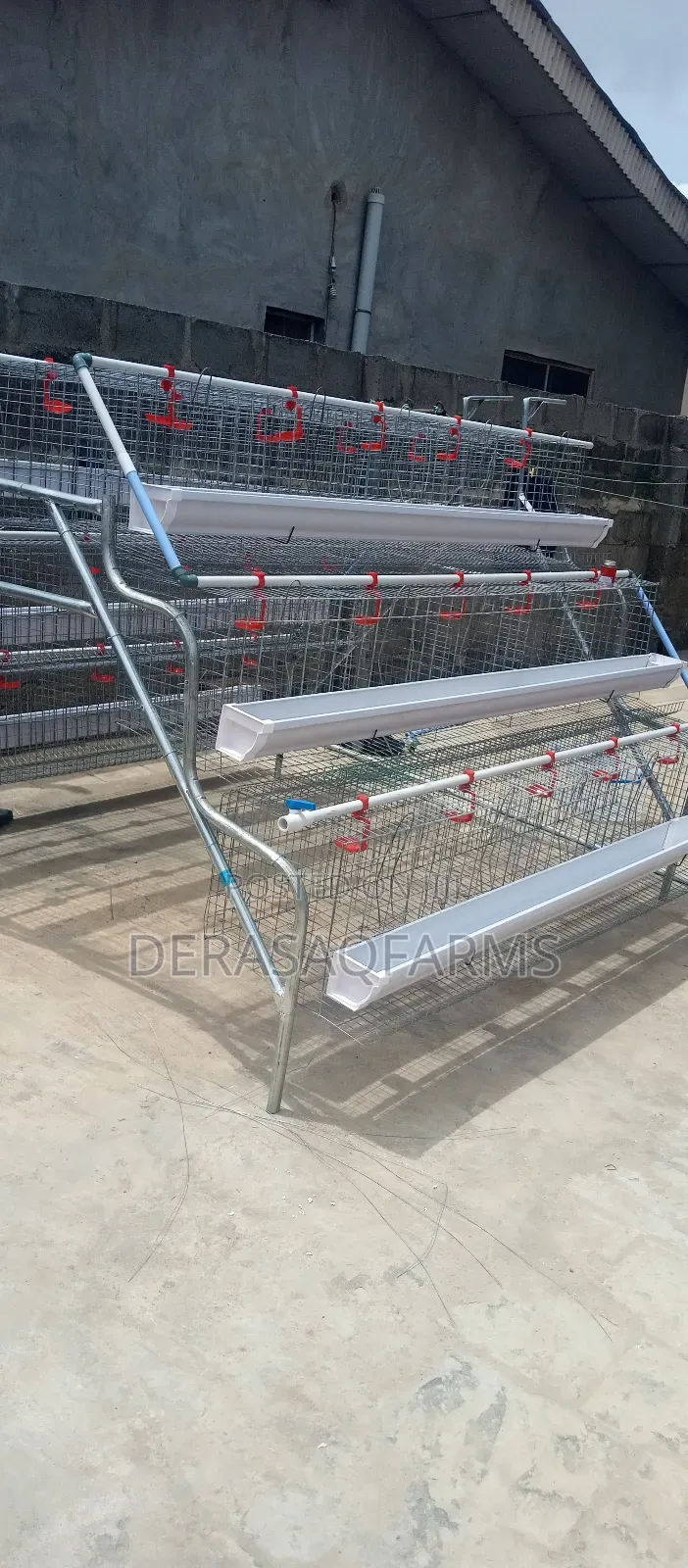 96birds Layers Cage With Full Accessories in Large Capacity