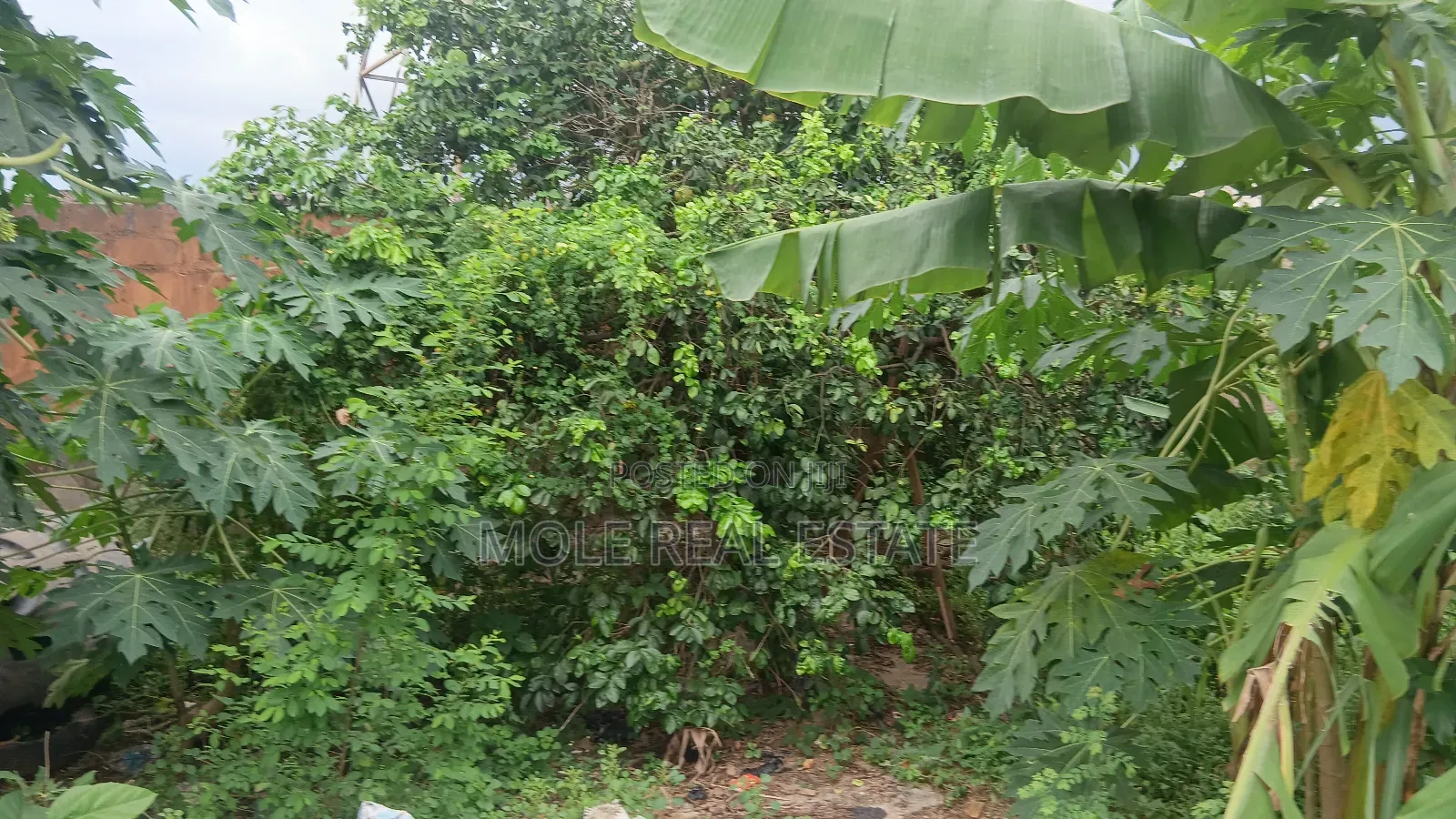 100ft/120ft Atan Kekere Ayobo 4 Active Shops Fenced Gated
