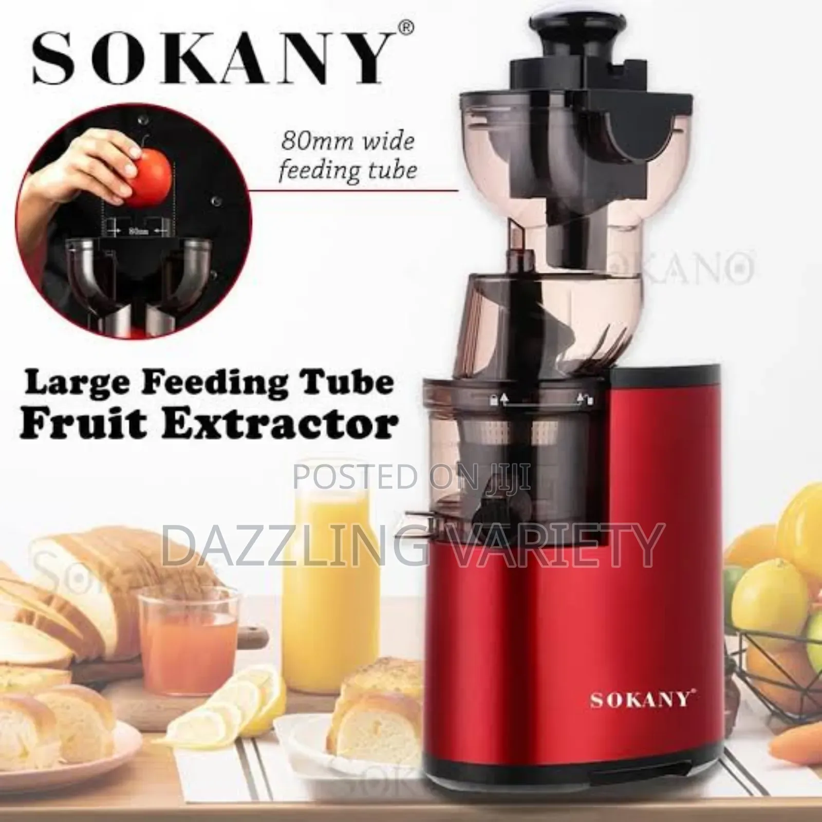 300watt Sokany Slow Juicer