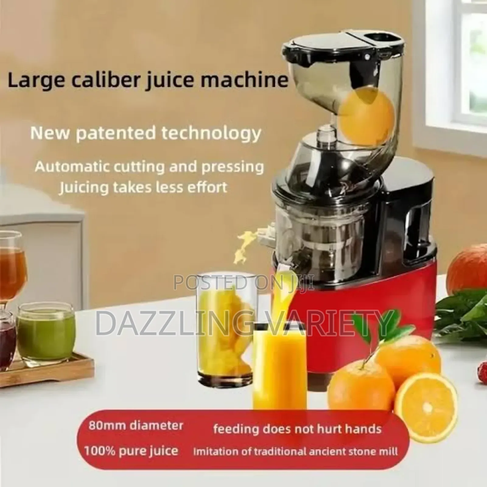 300watt Sokany Slow Juicer