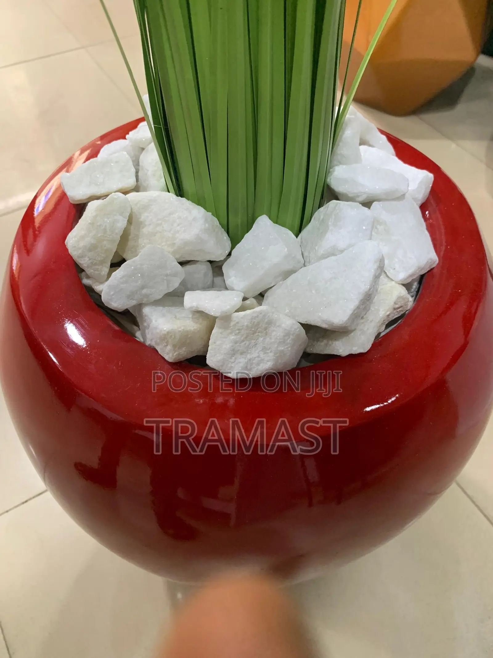 Elegant Reed Grass Plant In Red Apple-shaped Vase